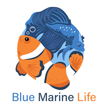 bluemarinelife